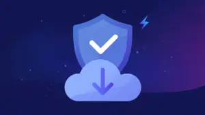 Is it safe to use a TeraBox downloader